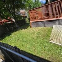 Backyard Mow + Cleanup