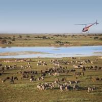 Photo Credit Natural Selection