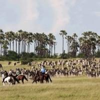 Photo Credit Natural Selection