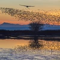 Photo credit - Lesly Derksen