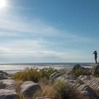 Photo Credit Natural Selection