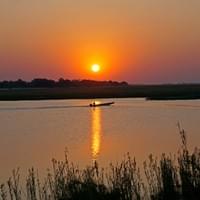 Photo Credit Joe Mcdaniel