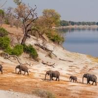 Photo Credit Ed Wingate