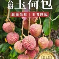 大樹玉荷包