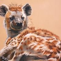 Portrait of a Hyena