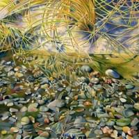 Pebbles & Reeds