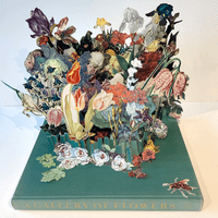 Bloom Where You Are Planted