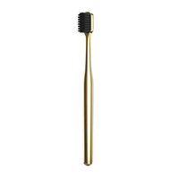 Metallic Gold Black Toothbrush