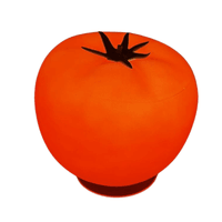 Vintage Tomato Table Lamp