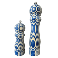 Groovy Salt & Pepper Mill Set