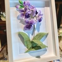 Orchid