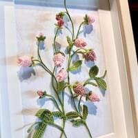 Campanula