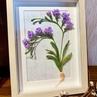 Freesia