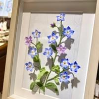 Forget me not