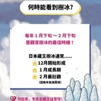 何時能看到樹冰?