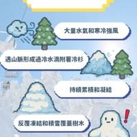 樹冰形成的詳細過程