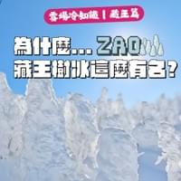 為什麼藏王樹冰這麼有名？
