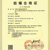 CH02 Ex-proof Certificate