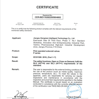 SIL Certificate-Pilot type