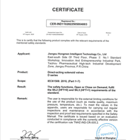 SIL Certificate-Direct type