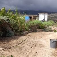 Starting the Veggie Garden
