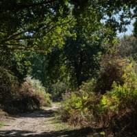 Sentier des douaniers