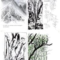 Canaries- La Gomera