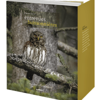 ENTREVUES BUISSONNIÈRES