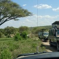 OMG Safaris and Travel Convoy