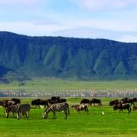 Ngorongoro