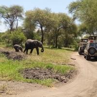 Unforgattable Safaris Memories