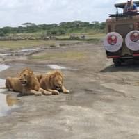 Tanzania Experience