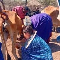 Maasai Experience