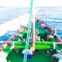Anelis Boat Head View