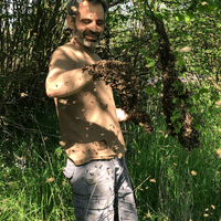 Ein anhänglicher Schwarm