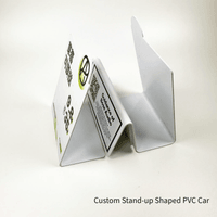 Custom Stand‑up Shaped PVC Car