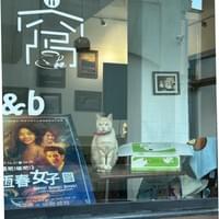 店貓坐在窩一窩 OliO b&b 門口