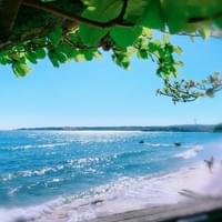 綠葉掩映下的恆春海灘與浪