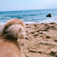 冬日的落山風｜十二月的恆春，曬太陽、看海，也聽風走過半島