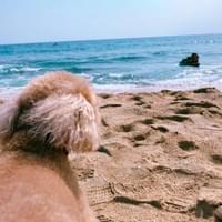 冬日的落山風｜十二月的恆春，曬太陽、看海，也聽風走過半島