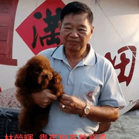 狗的專門家 0956339955