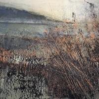 Through the Switchgrass (2026) Coyright MCalenda