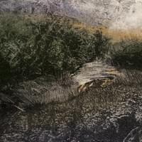 Wilds    Copyright MCalenda 2025