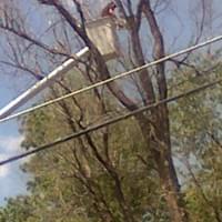 Avoiding the power lines