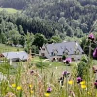 En pleine nature...