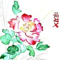 Pivoines