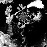 Voyage floral