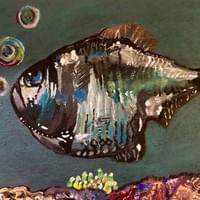 Poisson bulle