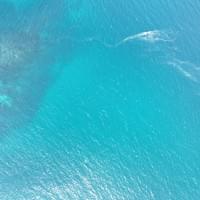 勝浦の海