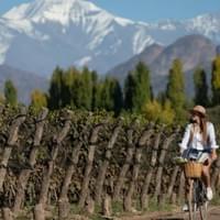 MENDOZA